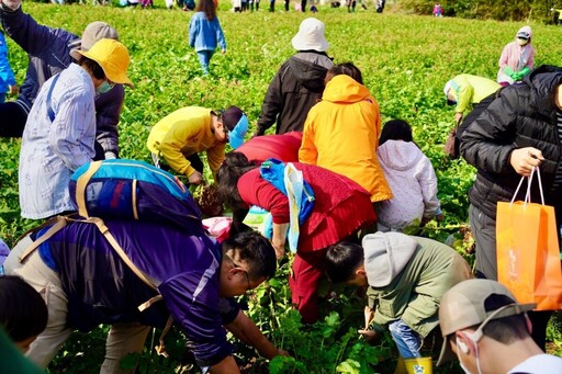 「拔」得親子好關係培養對環境與食物尊重 邱議長與孩童同樂體驗農村生活