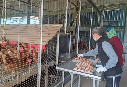 台中首家動物福利友善飼養場誕生