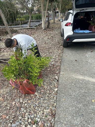 響應植樹造林綠化月 縣府無償提供苗木申請種植