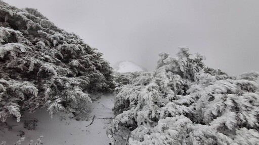 快訊》玉山下雪啦！低溫特報台中以北持續10度氣溫