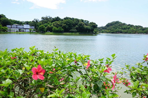 38歲的碧湖公園即將迎來新生 打造永續發展的城市綠地