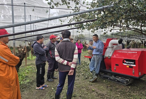 高雄棗農搶工難 果樹代耕團助解修剪危機