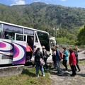 114年全原運規劃15條免費接駁車 新增觀光線像行動小旅行