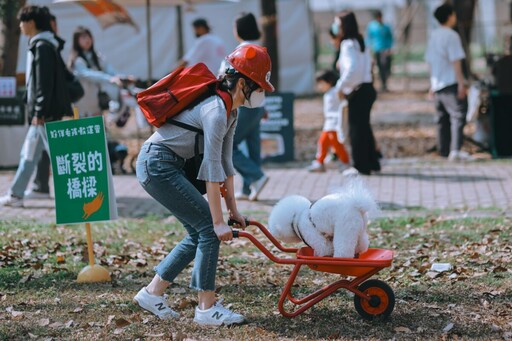 中正公園變毛孩樂園 「國際小狗日」500隻狗狗萌力全開