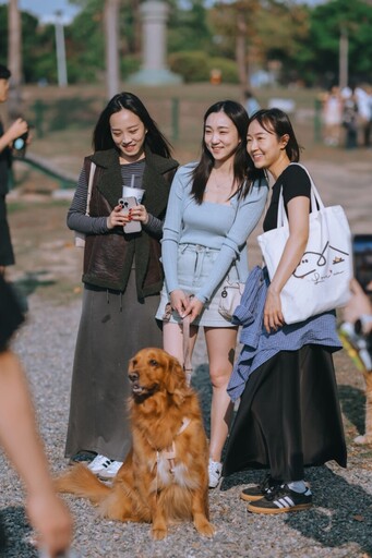 中正公園變毛孩樂園 「國際小狗日」500隻狗狗萌力全開