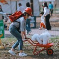 中正公園變毛孩樂園 「國際小狗日」500隻狗狗萌力全開