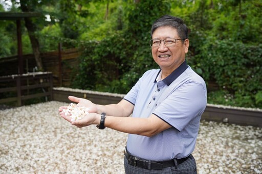 竹縣桐花飄雪迎客來 2025桐花小旅行正式啟動