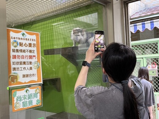高雄首創「犬貓治癒日」 動保處X 健身工廠打造毛孩運動趴
