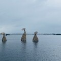 成龍濕地社區藝術行動登場 國內外藝術家駐村共創社區文化藝術