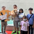 高雄「大型犬游泳盃」開戰！動保處推清涼水上運動 打造夏日毛孩樂園