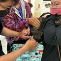 高雄犬貓絕育行動深入偏鄉 林園場貓咪絕育占比首破七成