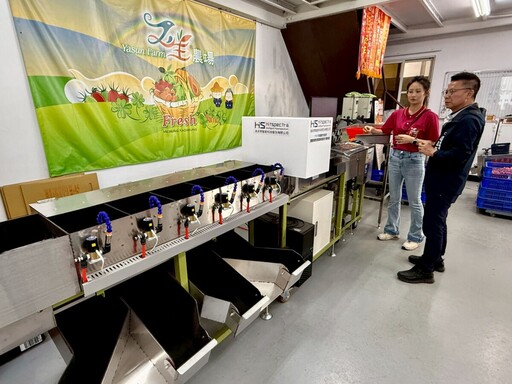 AI揀果救番茄 高雄智慧農業選別效率飆升五成、成本砍半