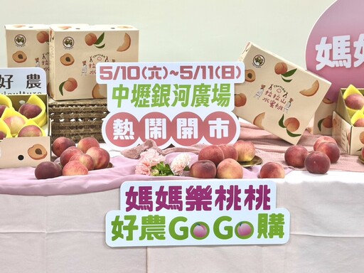 媽媽桃盛產迎母親節 泰雅族媽媽種出水蜜桃甜蜜滋味 預購破千盒、5月實體展售同步開跑