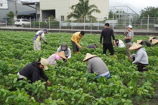 花蓮農改場農民學院初階訓練有機農業班結訓