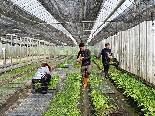 花蓮農改場農民學院初階訓練有機農業班結訓