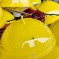 高雄農業局備戰果實蠅高峰期 6,900誘殺器全面出動保護水果產季