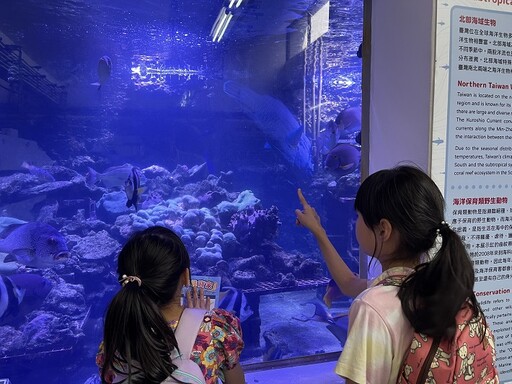 海洋探險啟航！海科館博物館日系列活動熱鬧登場