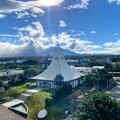加羅林魚木花海美翻天 聖約翰科大影像之旅感動人心