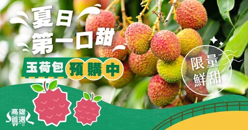 限量搶購!甜度爆表14度高雄玉荷包禮盒開賣 錯過再等一年