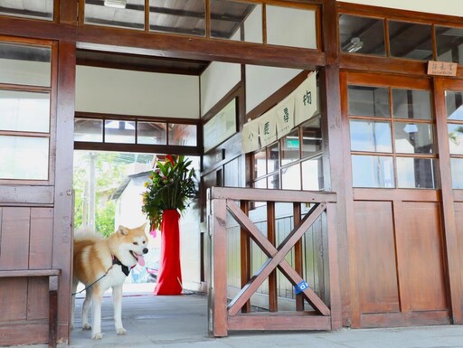 阿里山林鐵鹿麻產車站整修完工 秋田犬「波吉」化身百年車站實習站長