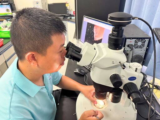中山大學紅翎藻固碳研究 開創海水結合畜牧廢水養殖新路徑