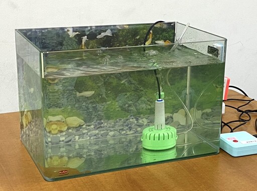 打造AI撿球機X智慧水族箱 正修雙奪冠軍寶座