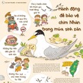世界生物多樣性日 海保署攜手各界保育小燕鷗與綠蠵龜