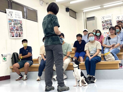毛孩變乖有秘訣!高雄「訓犬課程馬拉松」暑假8場開跑