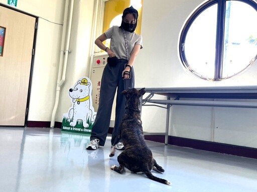 毛孩變乖有秘訣!高雄「訓犬課程馬拉松」暑假8場開跑