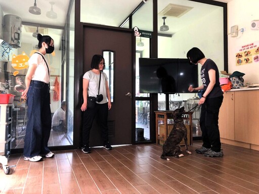 毛孩變乖有秘訣!高雄「訓犬課程馬拉松」暑假8場開跑