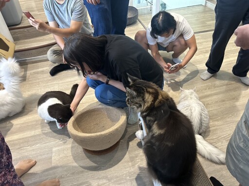 角落有貓×心理復健協會 首推寵物美容課程拿證照 讓療癒與技能同在
