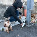 遛狗模範生：繫妥狗繩 帶上狗便撿拾器隨手清狗便
