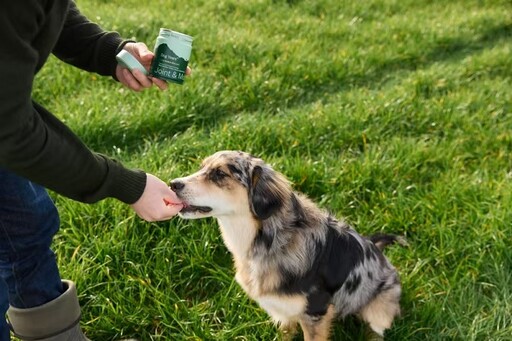 給毛孩堅持最好的!道格Dog Years 攜紐西蘭原裝產品登台