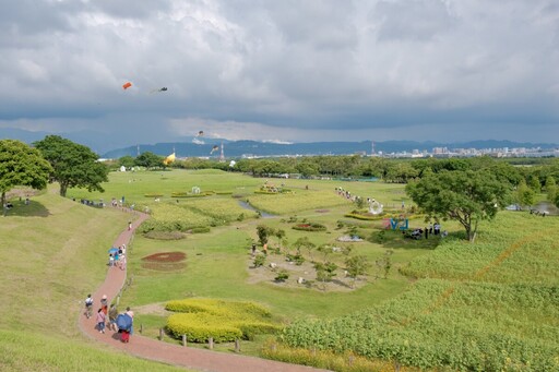 花現綠奇蹟!后里環保公園變身最美花海休憩地