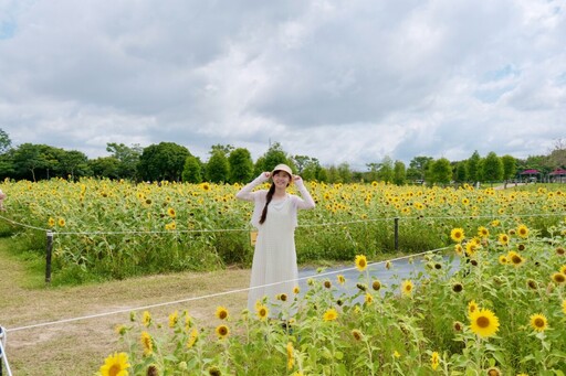 花現綠奇蹟!后里環保公園變身最美花海休憩地