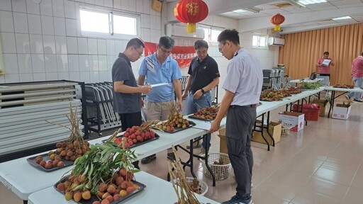 高雄鳳荔評鑑出爐！大樹謝清男、劉文賢雙奪冠軍 展現金鑽鳳梨與玉荷包頂尖實力