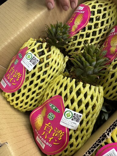 高雄農友福音！「質譜宅急便」巡迴到南友農合作社 鳳梨外銷更安心