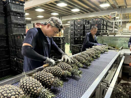 高雄農友福音！「質譜宅急便」巡迴到南友農合作社 鳳梨外銷更安心