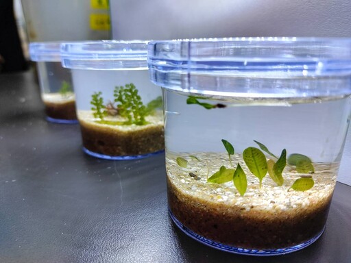 「永續高雄」青創賽12強出線 6/17決戰百萬首獎