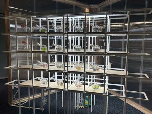 享譽國際保育專家珍古德親臨揭幕 海科館《海洋未來式-新正常特展》開展