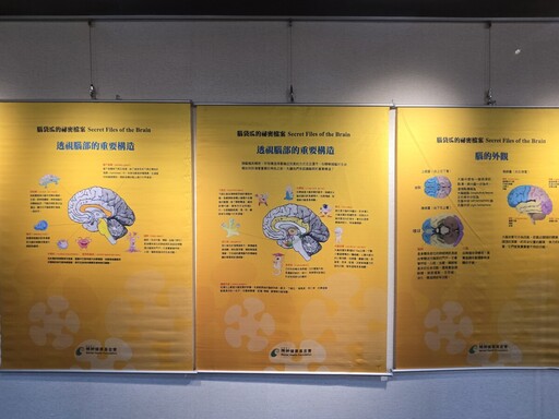 「腦的美麗境界」腦科學教育巡迴展今開幕
