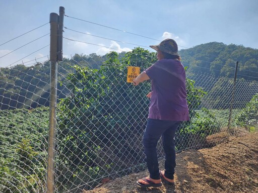 芒果不再被猴搶!高雄電圍網防治成效佳 補助截止倒數