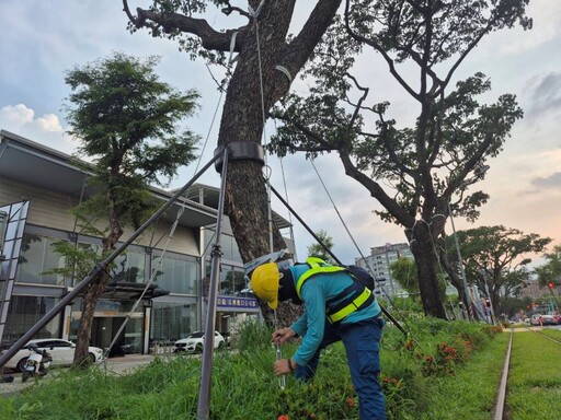 守護輕軌綠廊與市民安全 輕軌沿線樹木完成颱風季加固作業 並進行汛期防災演練