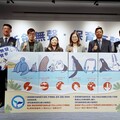 海保署X海巡署查緝非法販售鋸鰩產製品 守護海洋生態決心與執行力