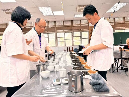 茶香青春再出擊嘉義青農手作製茶競賽 隙頂茶區成夢想舞台