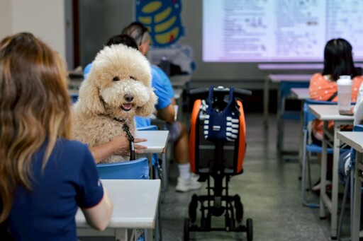 「甜蜜危機」找上毛孩 高市推寵物血糖計畫 飼主快學會耳採血自測