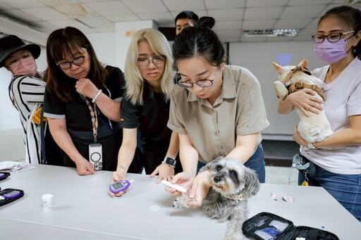 「甜蜜危機」找上毛孩 高市推寵物血糖計畫 飼主快學會耳採血自測