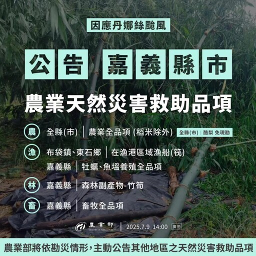 丹娜絲颱風在漁港區域漁船(筏)現金救助及低利貸款 7/21前受理申請
