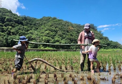 桃竹苗分署推2025暑期遊程 邀您體驗好玩有趣的多元在地旅遊
