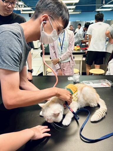 今夏最夯科學營！高市動保處X科工館推小小獸醫科學營